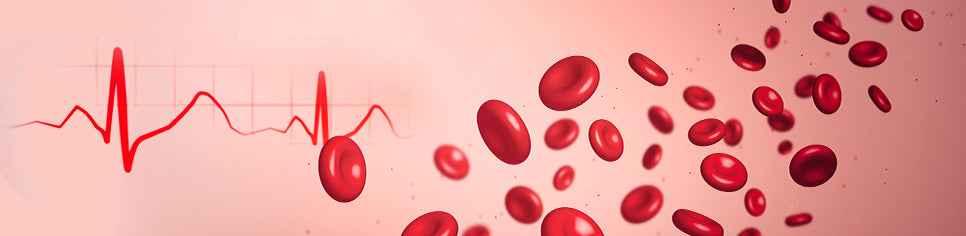 how-to-increase-red-blood-cells-quickly-with-foods-and-lifestyle